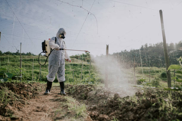 Best Pest Prevention Services  in Edgeworth, PA
