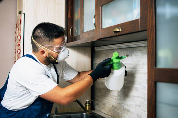 Pest Prevention Services in Edgeworth, PA