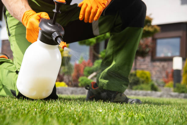 Best Rodent Control Near Me  in Edgeworth, PA