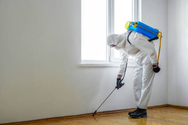 Best Mosquito Control Services  in Edgeworth, PA