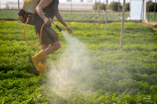Best Affordable Pest Control Services  in Edgeworth, PA