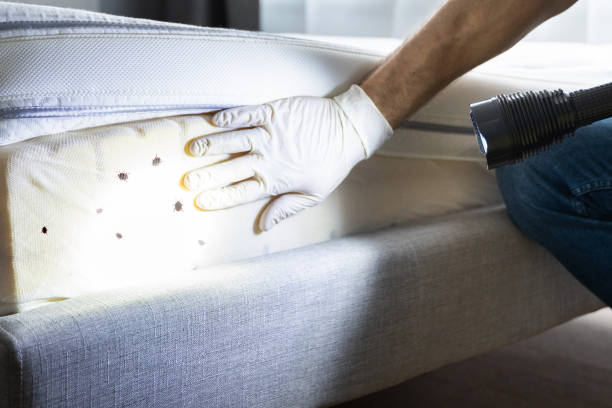 Best Pest Control Cost  in Edgeworth, PA