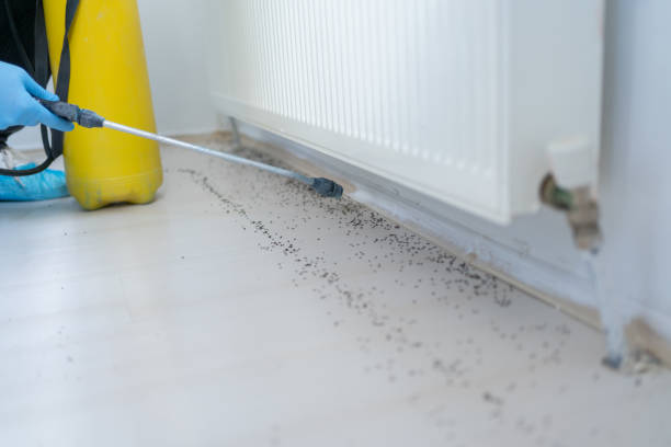 Best Residential Pest Control  in Edgeworth, PA